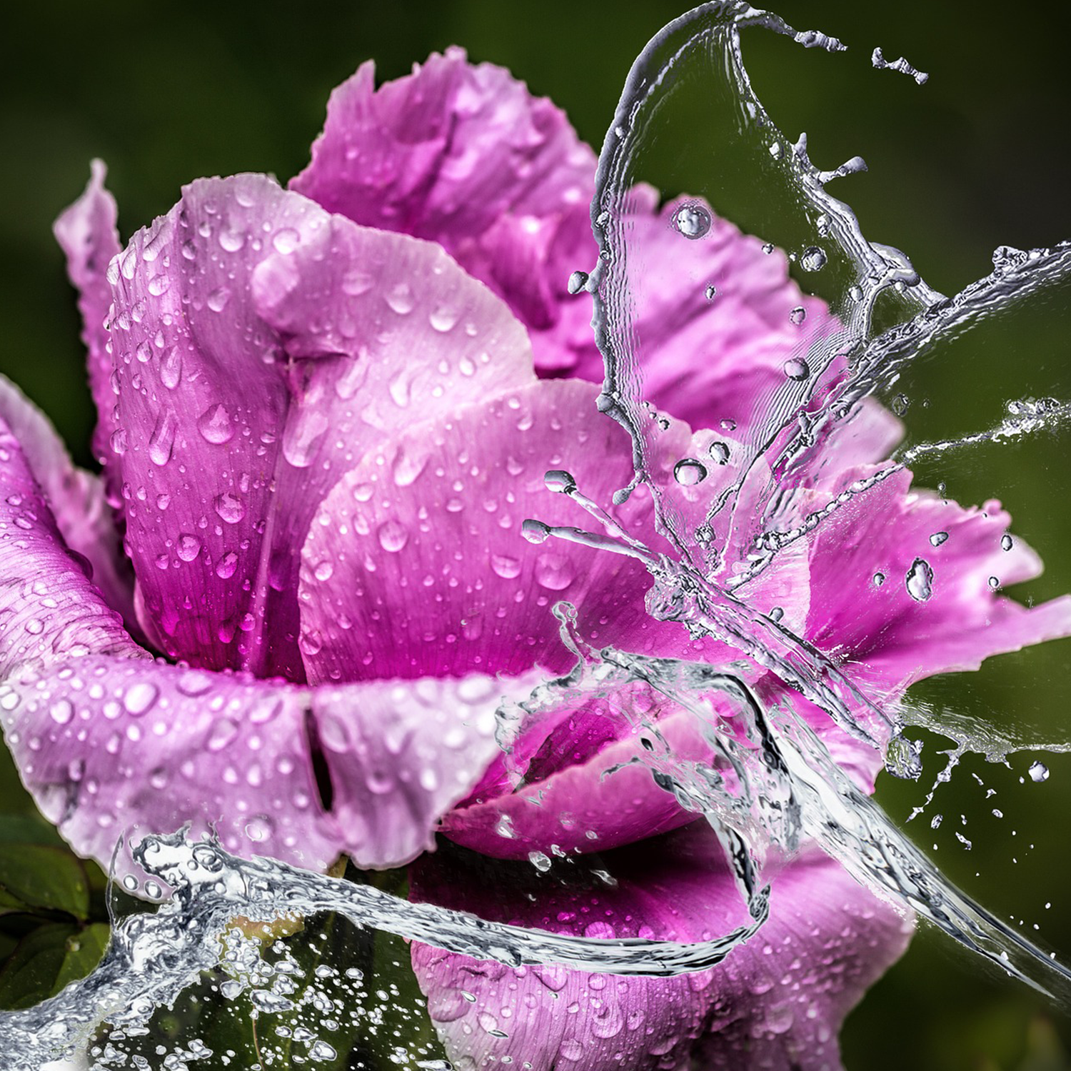 Odoo image and text block
